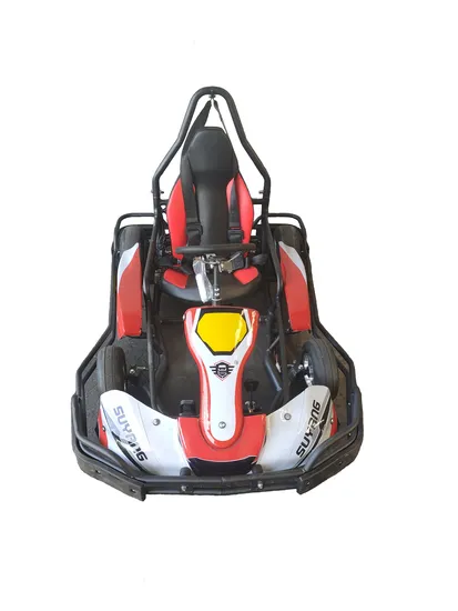 Carro infantil adulto com pedal, kart, mini caminhão monstro, kart para playground